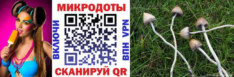 Купить закладки  Ростов  Псилоцибиновые грибы ЛСД 